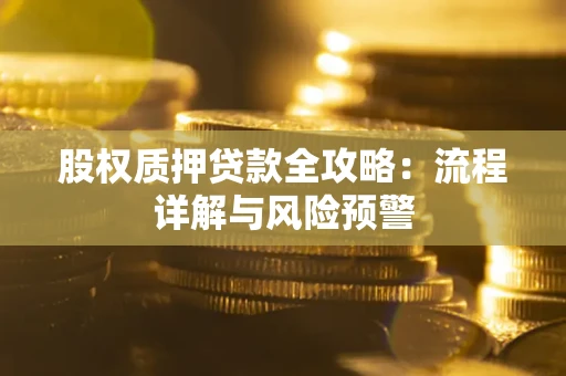 北京股权质押贷款全攻略：流程详解与风险预警