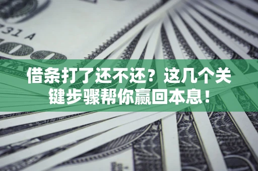 北京借条打了还不还？这几个关键步骤帮你赢回本息！