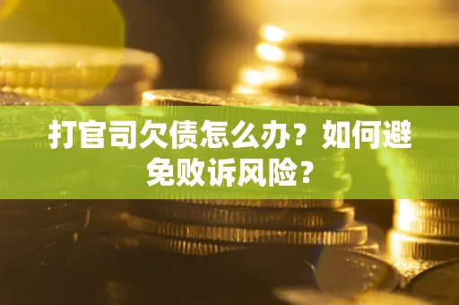 北京打官司欠债怎么办？如何避免败诉风险？