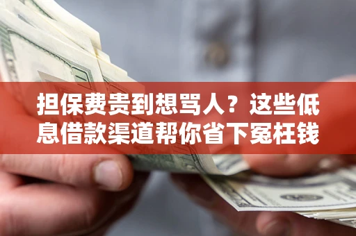 北京担保费贵到想骂人？这些低息借款渠道帮你省下冤枉钱