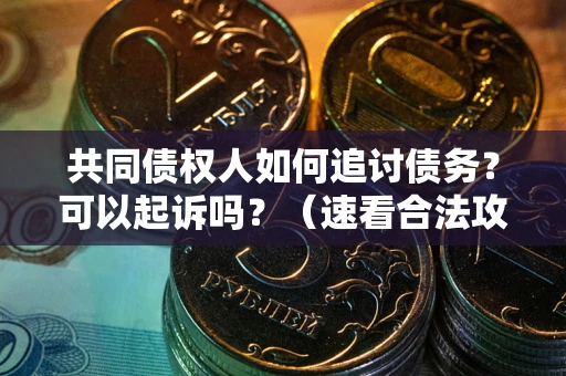 北京共同债权人如何追讨债务？可以起诉吗？（速看合法攻略）