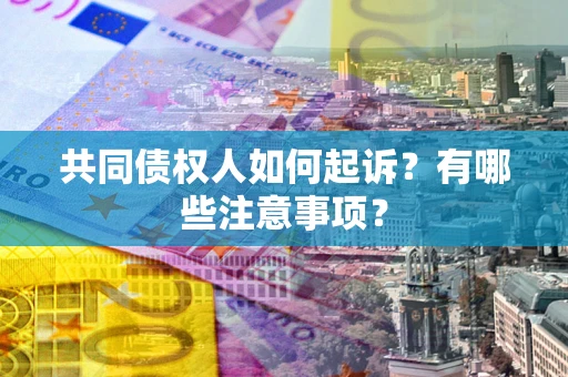 北京共同债权人如何起诉？有哪些注意事项？